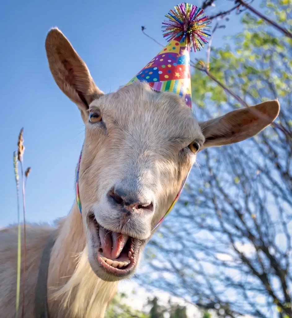 Birthday parties on horse farm in northern, ky